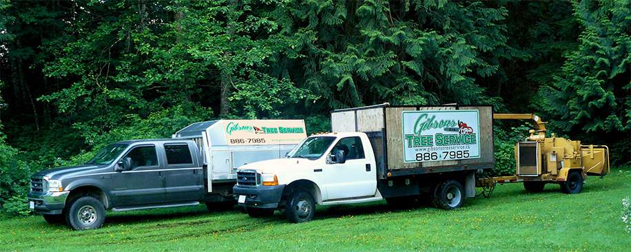 Gibsons Tree Service Trucks