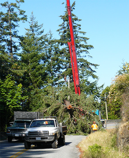Storm Damage, Tree Service, Sunshine Coast, BC